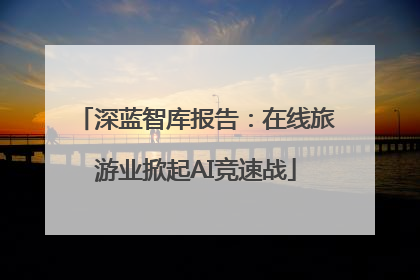 深蓝智库报告：在线旅游业掀起AI竞速战