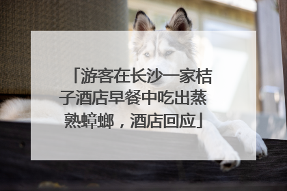 游客在长沙一家桔子酒店早餐中吃出蒸熟蟑螂，酒店回应