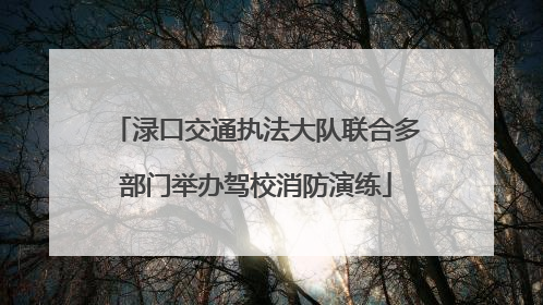 渌口交通执法大队联合多部门举办驾校消防演练