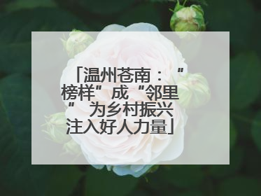 温州苍南：“榜样”成“邻里” 为乡村振兴注入好人力量