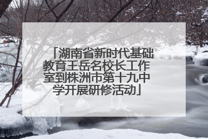 湖南省新时代基础教育王岳名校长工作室到株洲市第十九中学开展研修活动