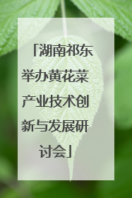 湖南祁东举办黄花菜产业技术创新与发展研讨会