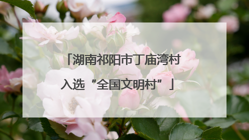 湖南祁阳市丁庙湾村入选“全国文明村”