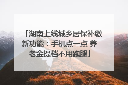湖南上线城乡居保补缴新功能：手机点一点 养老金提档不用跑腿