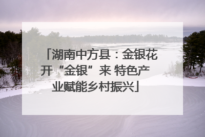 湖南中方县：金银花开“金银”来 特色产业赋能乡村振兴