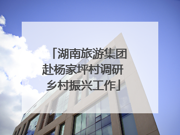 湖南旅游集团赴杨家坪村调研乡村振兴工作