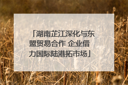 湖南芷江深化与东盟贸易合作 企业借力国际陆港拓市场