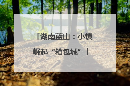 湖南蓝山：小镇崛起“箱包城”