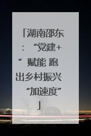 湖南邵东：“党建+”赋能 跑出乡村振兴“加速度”