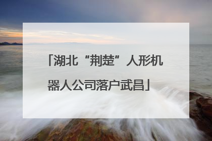 湖北“荆楚”人形机器人公司落户武昌