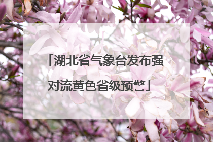 湖北省气象台发布强对流黄色省级预警