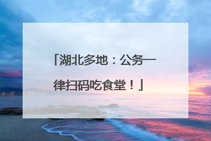 湖北多地：公务一律扫码吃食堂！
