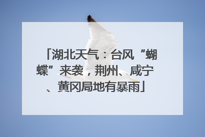 湖北天气：台风“蝴蝶”来袭，荆州、咸宁、黄冈局地有暴雨