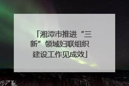 湘潭市推进“三新”领域妇联组织建设工作见成效
