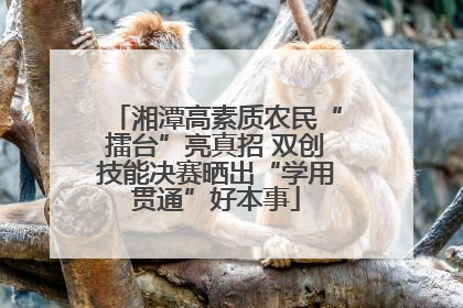 湘潭高素质农民“擂台”亮真招 双创技能决赛晒出“学用贯通”好本事