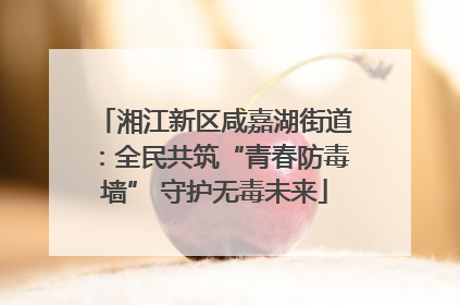 湘江新区咸嘉湖街道：全民共筑“青春防毒墙” 守护无毒未来