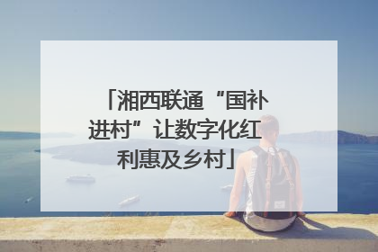 湘西联通“国补进村”让数字化红利惠及乡村