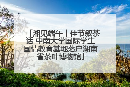 湘见端午丨佳节叙茶话 中南大学国际学生国情教育基地落户湖南省茶叶博物馆