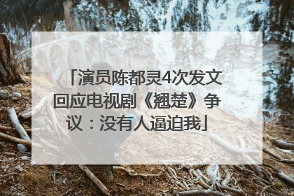 演员陈都灵4次发文回应电视剧《翘楚》争议：没有人逼迫我