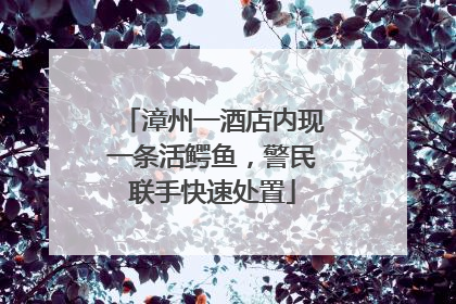 漳州一酒店内现一条活鳄鱼，警民联手快速处置