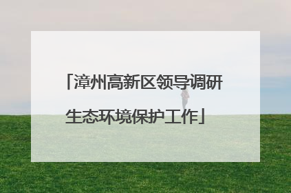 漳州高新区领导调研生态环境保护工作