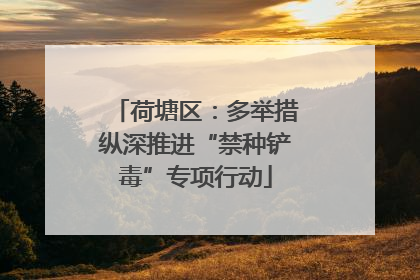 荷塘区：多举措纵深推进“禁种铲毒”专项行动