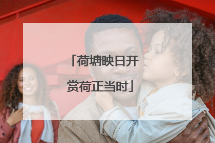 荷塘映日开 赏荷正当时