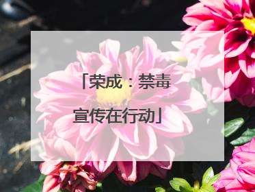 荣成：禁毒宣传在行动