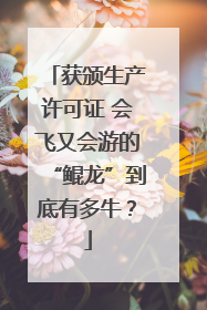 获颁生产许可证 会飞又会游的“鲲龙”到底有多牛？