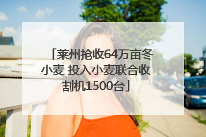 莱州抢收64万亩冬小麦 投入小麦联合收割机1500台