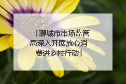 聊城市市场监管局深入开展放心消费进乡村行动