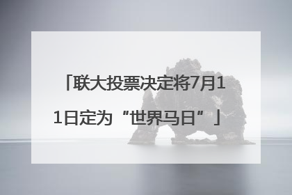 联大投票决定将7月11日定为“世界马日”