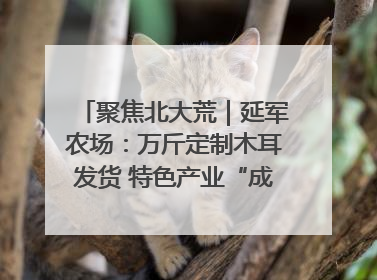 聚焦北大荒｜延军农场：万斤定制木耳发货 特色产业“成绩单”亮眼