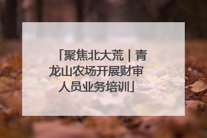 聚焦北大荒｜青龙山农场开展财审人员业务培训