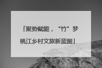 聚势赋能，“竹”梦桃江乡村文旅新蓝图