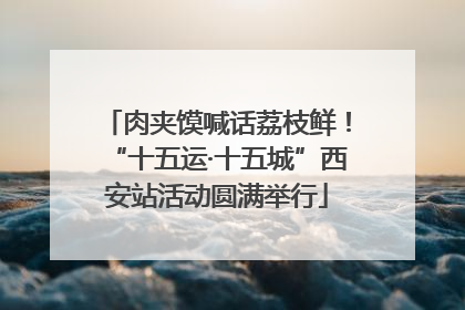 肉夹馍喊话荔枝鲜！“十五运·十五城”西安站活动圆满举行