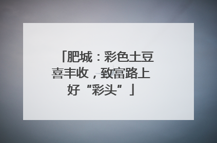 肥城：彩色土豆喜丰收，致富路上好“彩头”