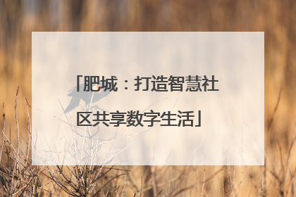 肥城：打造智慧社区共享数字生活