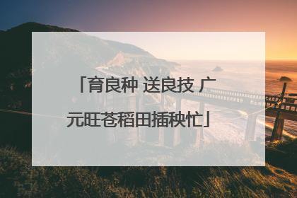 育良种 送良技 广元旺苍稻田插秧忙