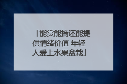 能赏能摘还能提供情绪价值 年轻人爱上水果盆栽