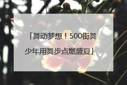 舞动梦想！500街舞少年用舞步点燃盛夏