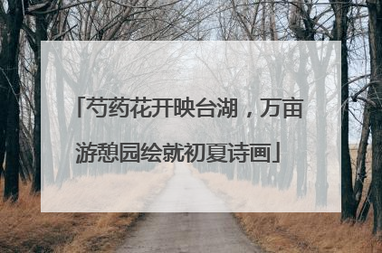 芍药花开映台湖，万亩游憩园绘就初夏诗画
