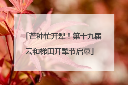 芒种忙开犁！第十九届云和梯田开犁节启幕