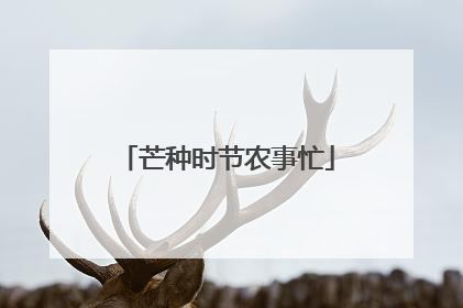 芒种时节农事忙