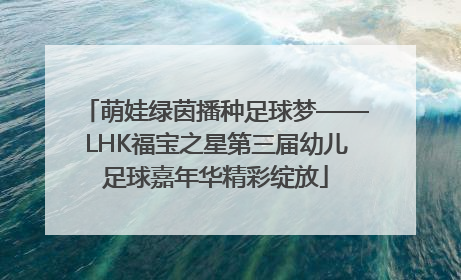 萌娃绿茵播种足球梦——LHK福宝之星第三届幼儿足球嘉年华精彩绽放