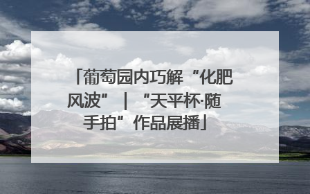 葡萄园内巧解“化肥风波”｜“天平杯·随手拍”作品展播