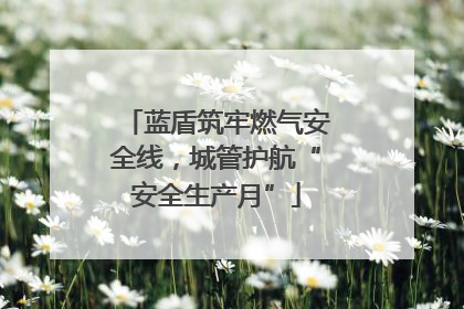 蓝盾筑牢燃气安全线，城管护航“安全生产月”