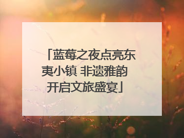 蓝莓之夜点亮东夷小镇 非遗雅韵开启文旅盛宴