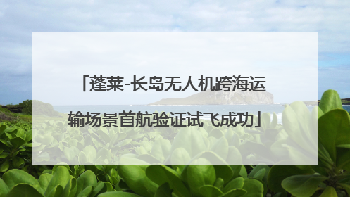 蓬莱-长岛无人机跨海运输场景首航验证试飞成功