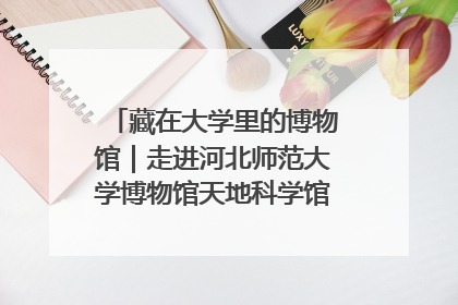 藏在大学里的博物馆｜走进河北师范大学博物馆天地科学馆：在校园里赴一场“宇宙之约”
